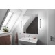 Aplica LED de baie inteligenta 13W Ledvance Smart+ WiFi ORBIS BATH WALL 300mm alb negru dimabila TW compatibil Amazon Alexa si Google Assistant IP44