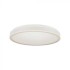 Plafoniera LED Designer 18W rotunda 350mm corp alb lumina neutra IP20