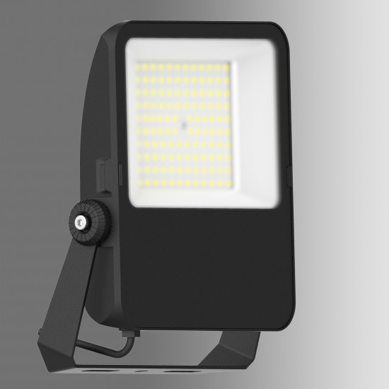 Proiector LED 100W Capri Basic SCHRACK Corp Negru Alb Neutru