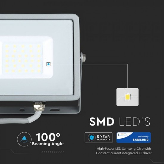 Proiector LED 30W cip Samsung Corp Gri lumina rece