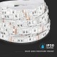 Banda LED SMD5050 60 LED IP20 Verde