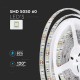 Banda LED SMD5050 60 LED IP65 Alb Rece