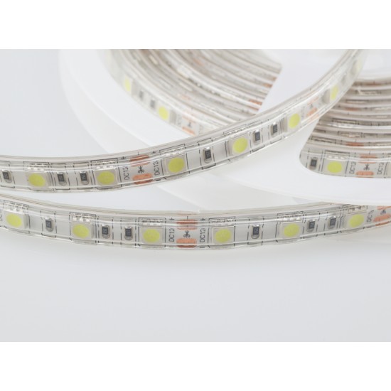 Banda LED SMD5050 60 LED IP65 Alb Rece