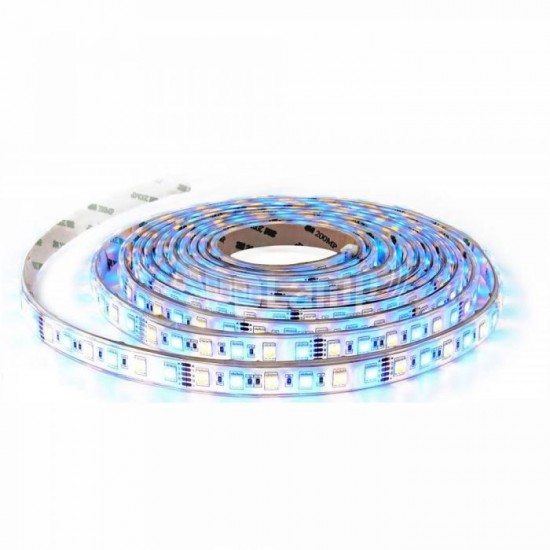 Banda LED de interior 10.8W 60 LED 12V RGBW Alb Cald