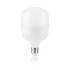 Bec LED BIN 30W E27 termoplastic CRI80 alb