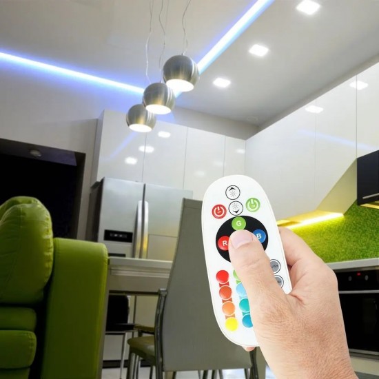 Controler cu Telecomanda Infrarosu 24 Butoane