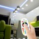 Controler cu Telecomanda Infrarosu 24 Butoane