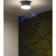 Plafoniera LED 12W de exterior Zelda Round SCHRACK antracit lumina calda IP54