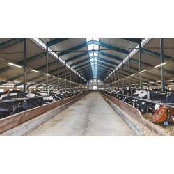 Corp de iluminat etans cu LED 40W LEDVANCE Damp Proof Value 120cm lumina neutra IP65