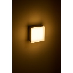Plafoniera LED 12W de exterior Zelda Square SCHRACK antracit lumina calda IP54