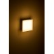 Plafoniera LED 12W de exterior Zelda Square SCHRACK antracit lumina calda IP54